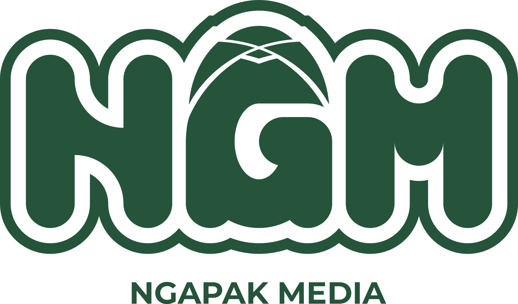 NGAPAK MEDIA LOGO